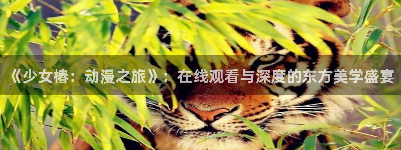acg动漫资源下载