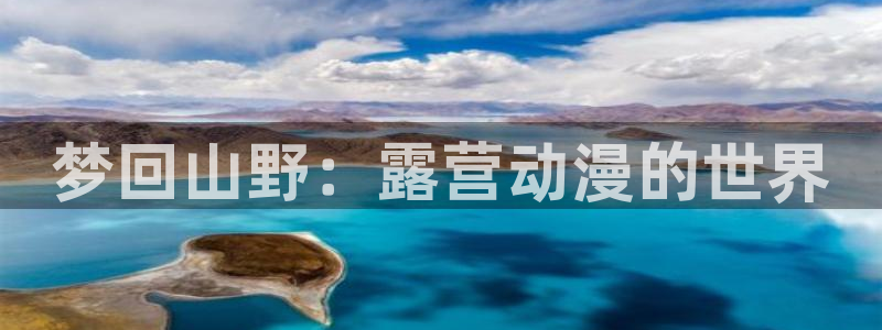 acg动漫官网正版：梦回山野：露营动漫的世界