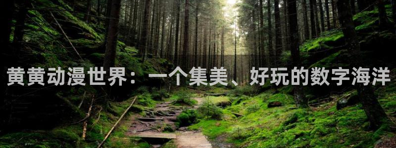 acg动漫资源网：黄黄动漫世界：一个集美、好玩的数字海洋